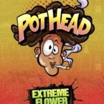 Lemon cherry pothead (Coming soon)